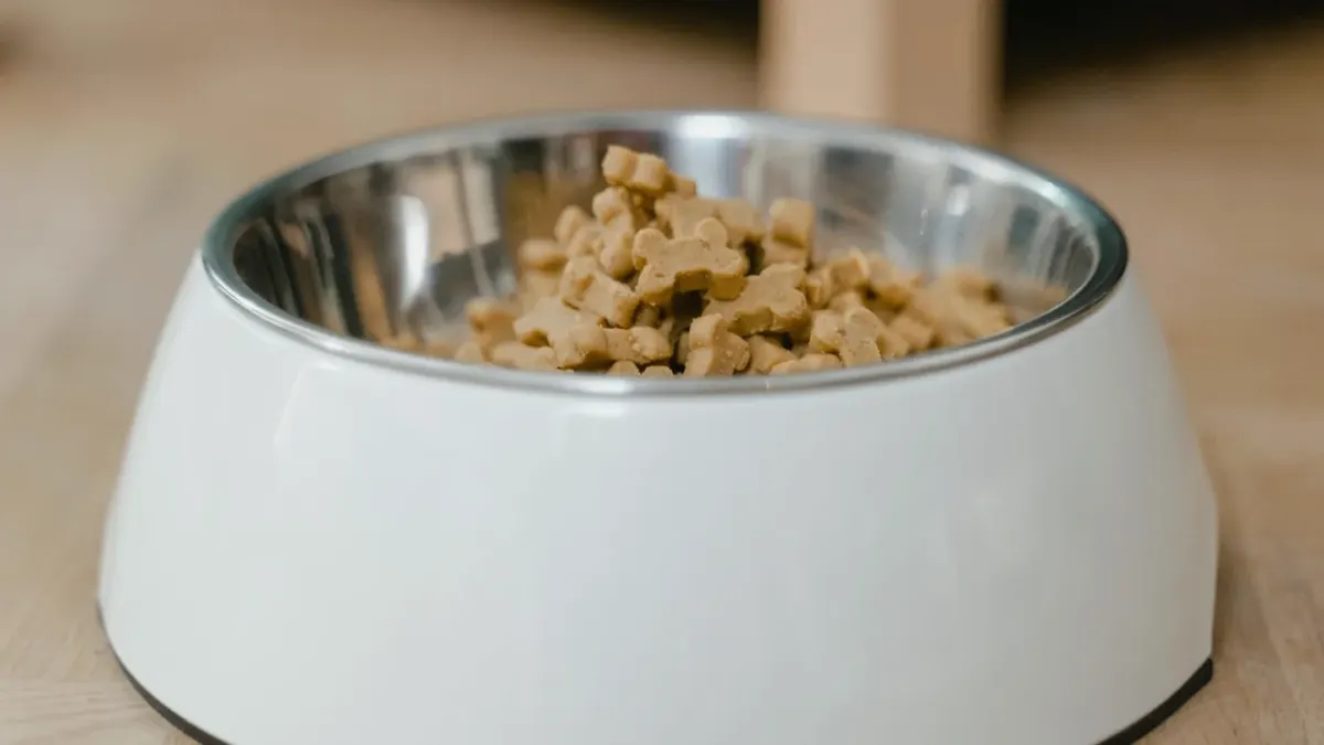 Dog eating from a bowl at home