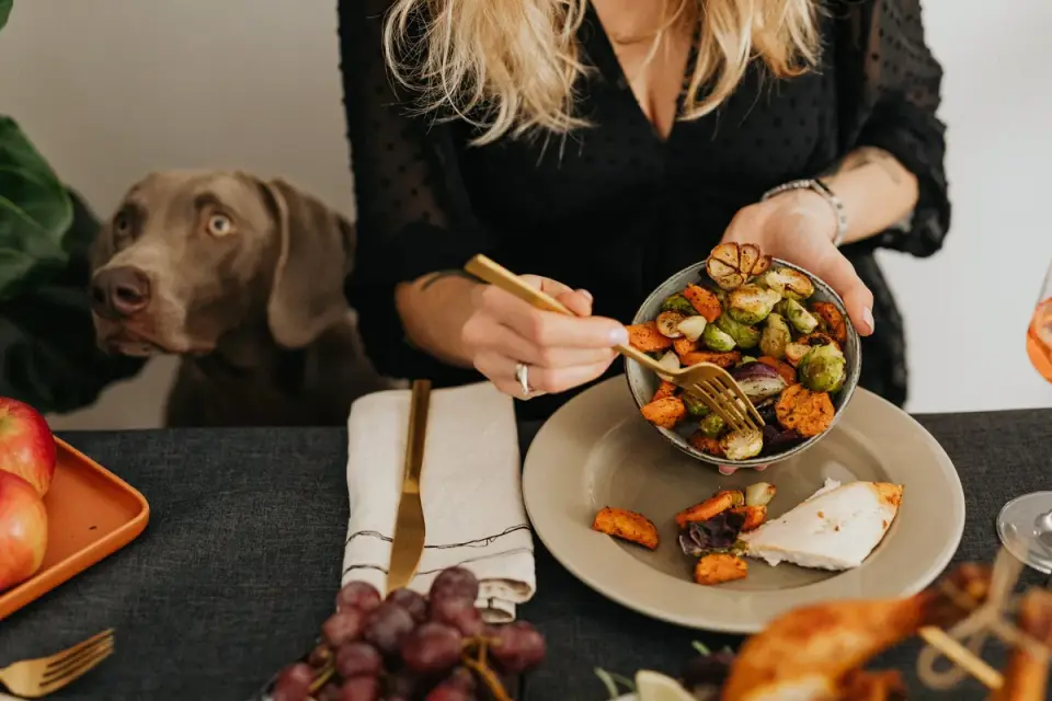 Dog owner preparing a meal