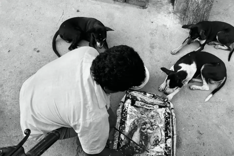 Dog owner preparing a meal