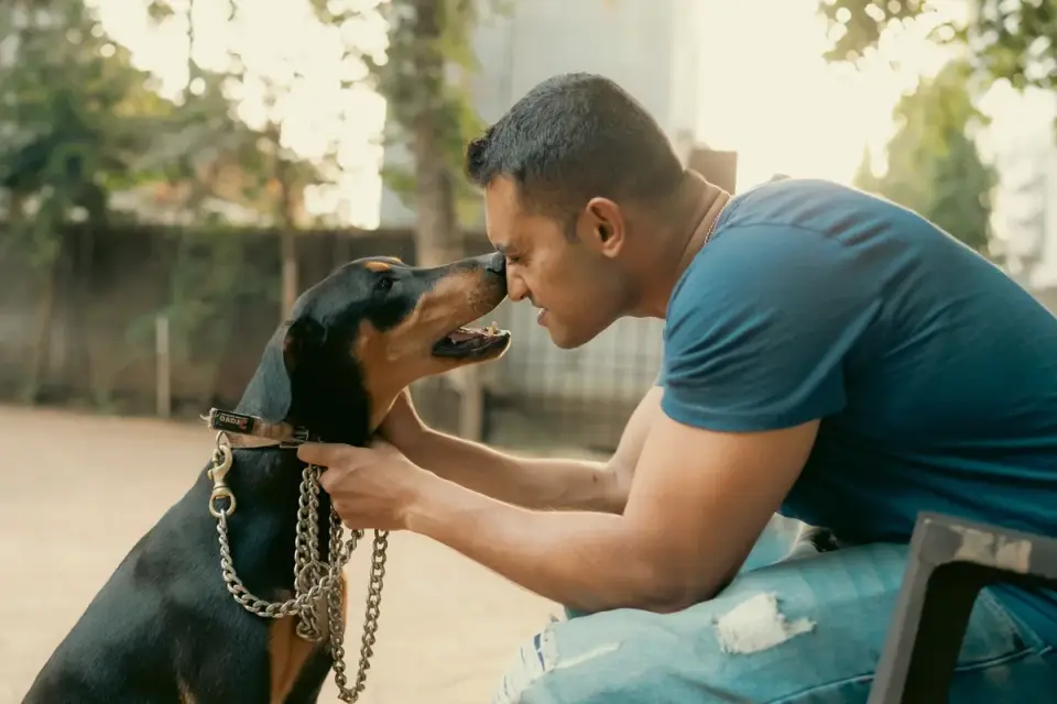 Dog owner preparing a meal
