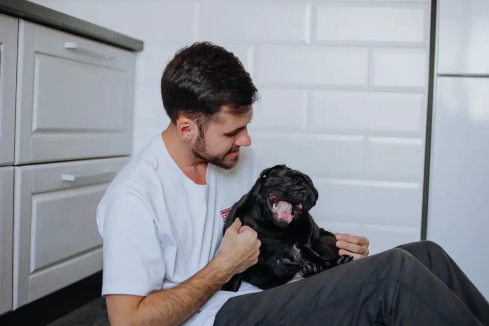 Dog owner reading a supplement label in the kitchen