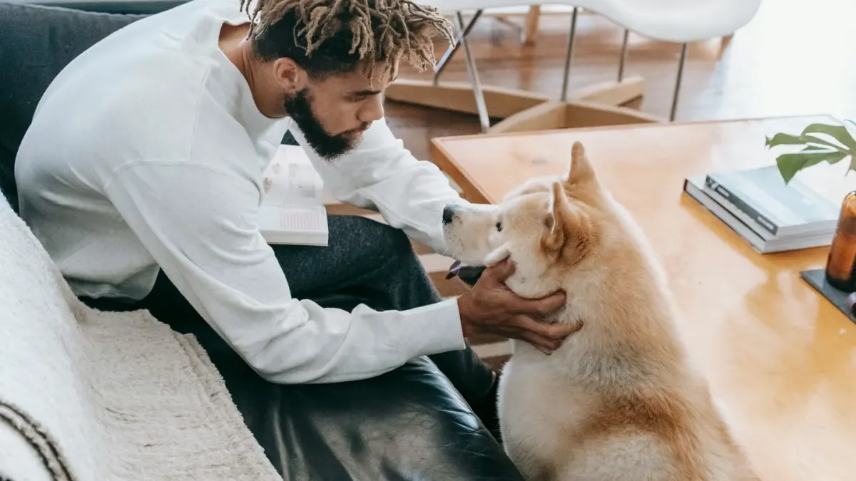 Dog resting beside an owner