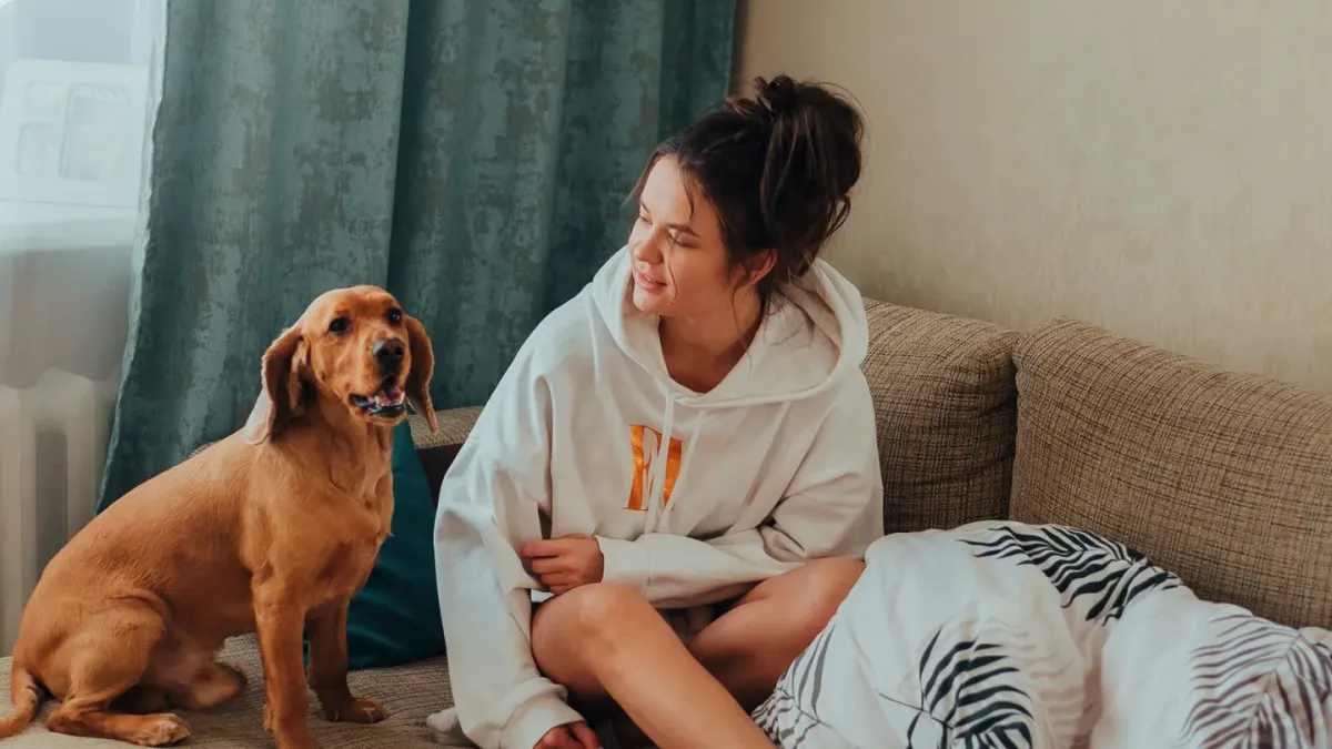Dog resting beside an owner