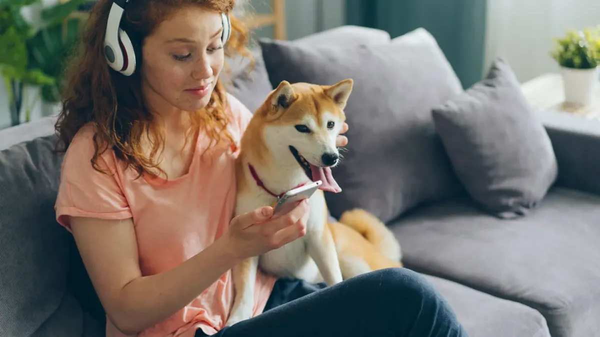 Dog resting beside an owner