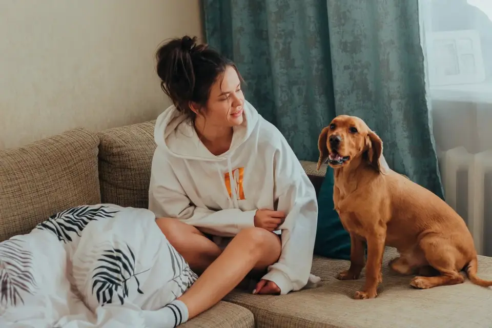 Dog resting beside an owner