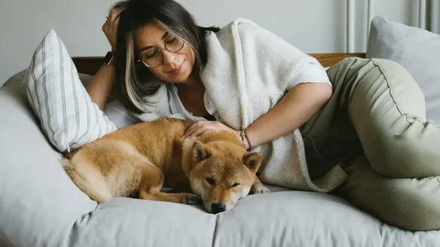Dog resting beside an owner