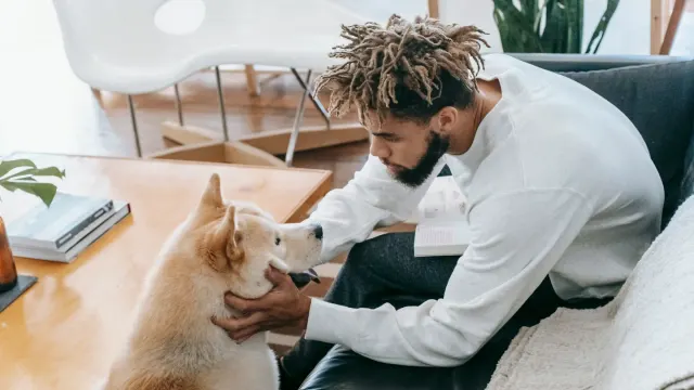 Dog resting beside an owner