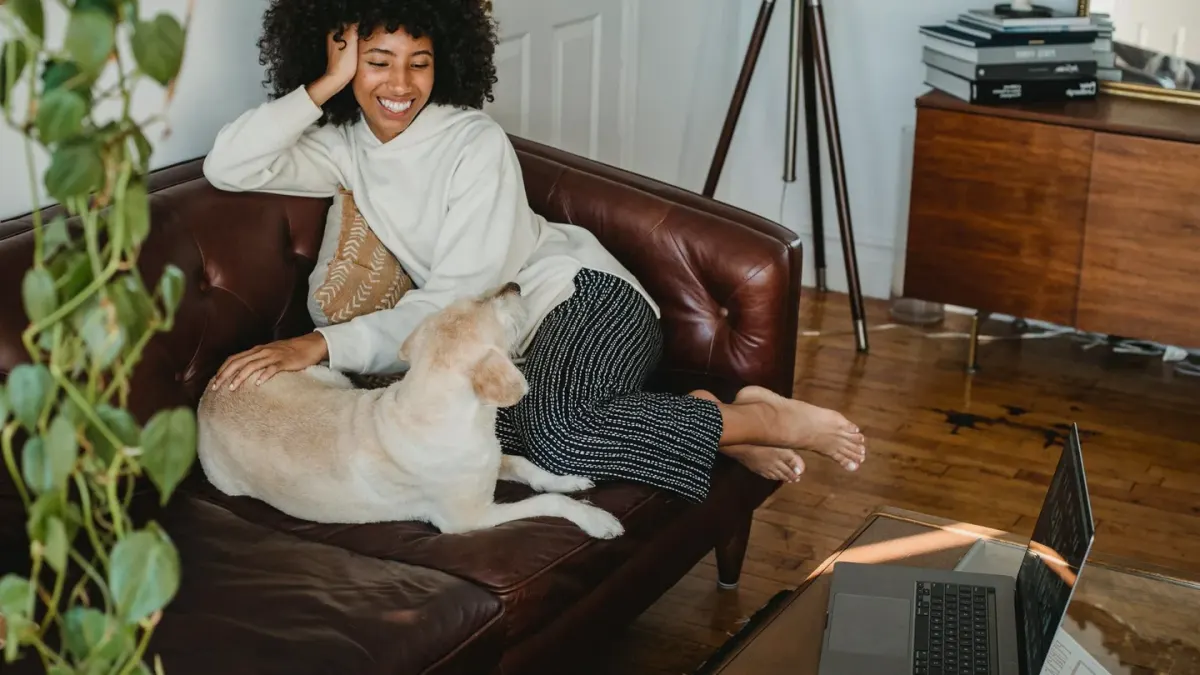 Dog resting beside an owner