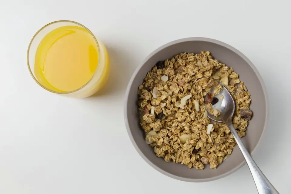 Two dog food bowls side by side, one holding plain oatmeal and one holding soft chew supplements